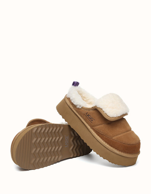 AUSTRALIAN SHEPHERD® Theia Platform